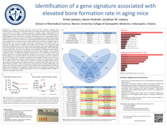 Identification of Gene Signature Associated with Elevated Bone Formation Rate in Aging Mice Thumbnail