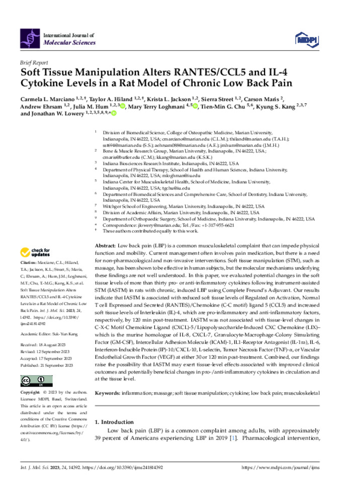  Soft Tissue Manipulation Alters RANTES/CCL5 and IL-4 Cytokine Levels in a Rat Model of Chronic Low Back Pain  Thumbnail