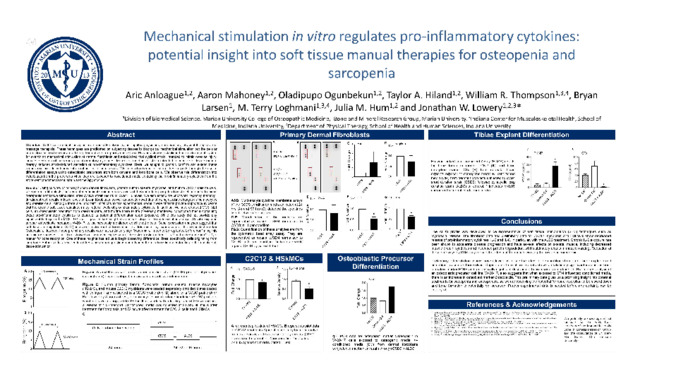 Mechanical stimulation in vitro regulates pro-inflammatory cytokines: potential insight into soft tissue manual therapies for osteopenia and sarcopenia miniatura
