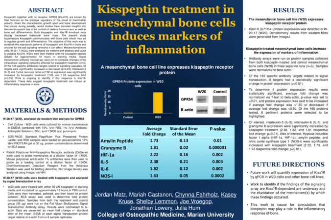 Kisspeptin treatment in mesenchymal bone cells induces markers of inflammation Thumbnail