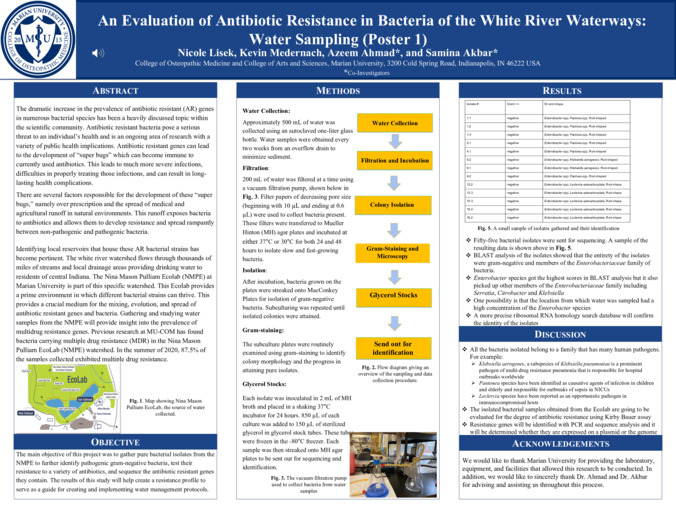 An Evaluation of Antibiotic Resistance in Bacteria of the White River Waterways: Water Sampling (Poster 1) Thumbnail