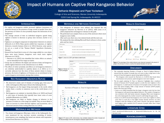 Impact of Humans on Captive Red Kangaroo Behavior miniatura