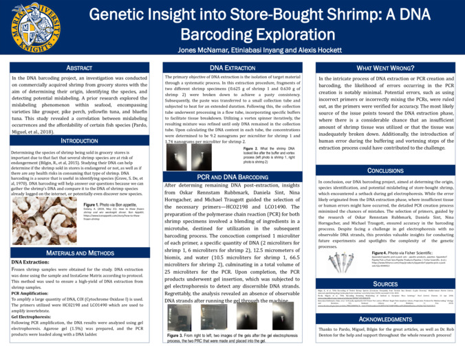 Genetic Insight into Store-Bought Shrimp: A DNA Barcoding Exploration Miniaturansicht