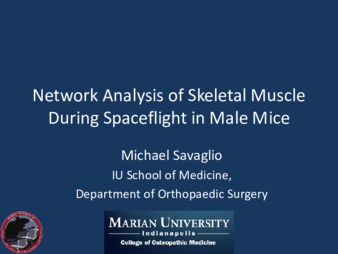 Network Analysis of Skeletal Muscle During Spaceflight in Male Mice miniatura