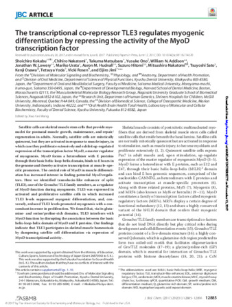 The Transcriptional Co-Repressor TLE3 Regulates Myogenic Differentiation by Repressing the Activity of the MyoD Transcription Factor miniatura