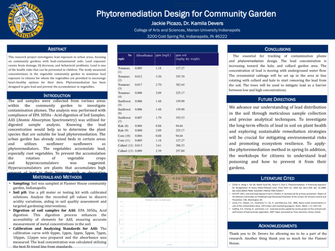 Phytoremediation Design for Community Garden Miniaturansicht