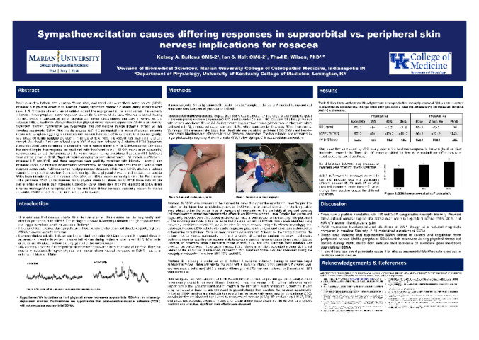 Sympathoexcitation causes differing responses in supraorbital vs peripheral skin nerves: implications for rosacea miniatura