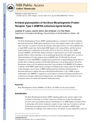 N-linked Glycosylation of the Bone Morphogenetic Protein Receptor Type 2 (BMPR2) Enhances Ligand Binding Miniaturansicht