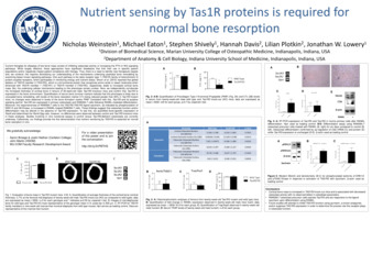 Nutrient Sensing by Tas1R Proteins is Required for Normal Bone Resorption Thumbnail