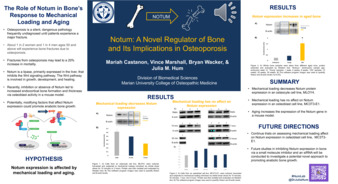 Notum: A Novel Regulator of Bone and Its Implications in Osteoporosis miniatura