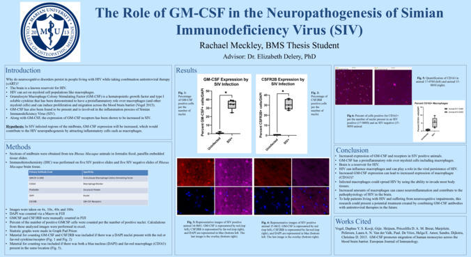 The Role of GM-CSF in the Neuropathogenesis of Simian Immunodeficiency Virus (SIV) miniatura