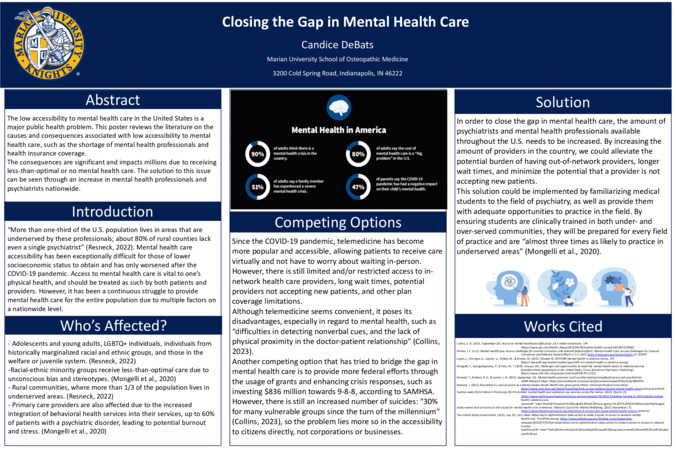 Closing the Gap in Mental Health Care miniatura