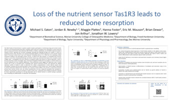 Loss of the Nutrient Sensor Tas1R3 Leads to Reduced Bone Resorption Thumbnail
