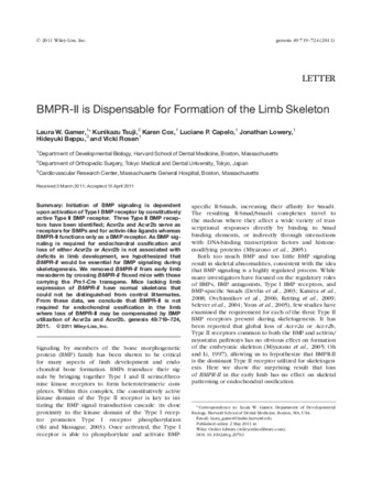 BMPR-II is Dispensable for Formation of the Limb Skeleton. Thumbnail