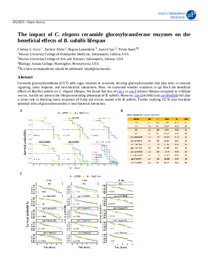 The impact of C. elegans ceramide glucosyltransferase enzymes on the beneficial effects of B. subtilis lifespan  miniatura