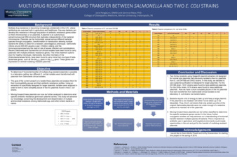 Multi Drug Resistant Plasmid Transfer Between Salmonella and Two E. Coli Strains miniatura