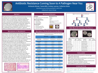 Antibiotic Resistance Coming Soon to A Pathogen Near You miniatura