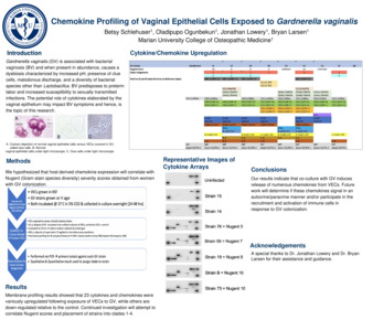 Chemokine Profiling of Vaginal Epithelial Cells Exposed to Gardnerella Vaginalis Thumbnail