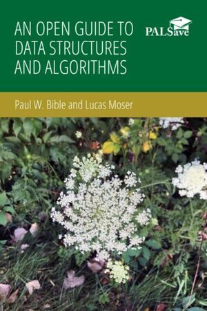 An Open Guide to Data Structures and Algorithms  miniatura