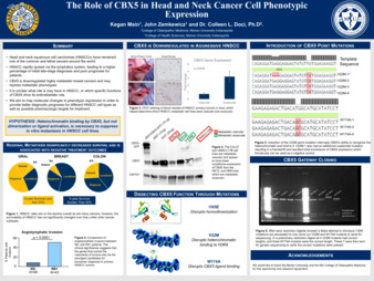 The Role of CBX5 in Head and Neck Cancer Cell Phenotypic Expression miniatura