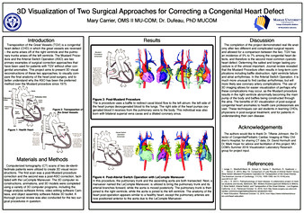 3D Visualization of Two Surgical Approaches for Correcting a Congenital Heart Defect Miniature