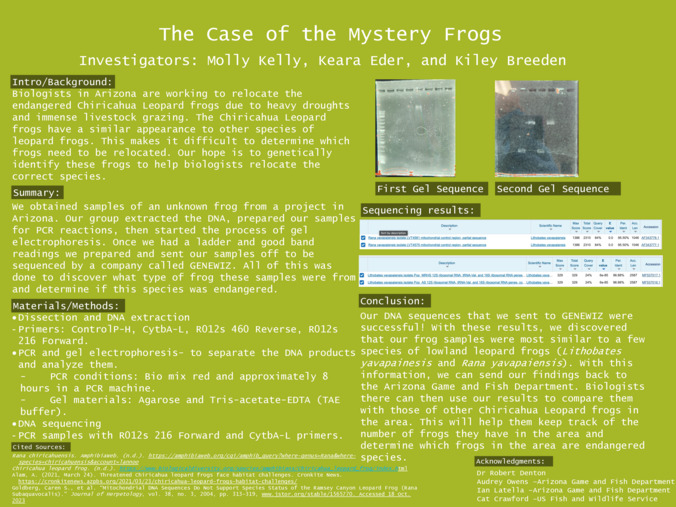 The Case of the Mystery Frogs Miniature