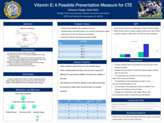 Vitamin E: A Possible Preventative Measure for CTE miniatura