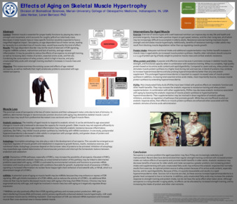 Effects of Aging on Muscle Hypertrophy Thumbnail