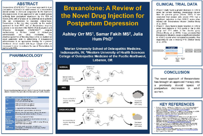 Brexanolone: A Review of the Novel Drug Injection for Postpartum Depression 缩略图