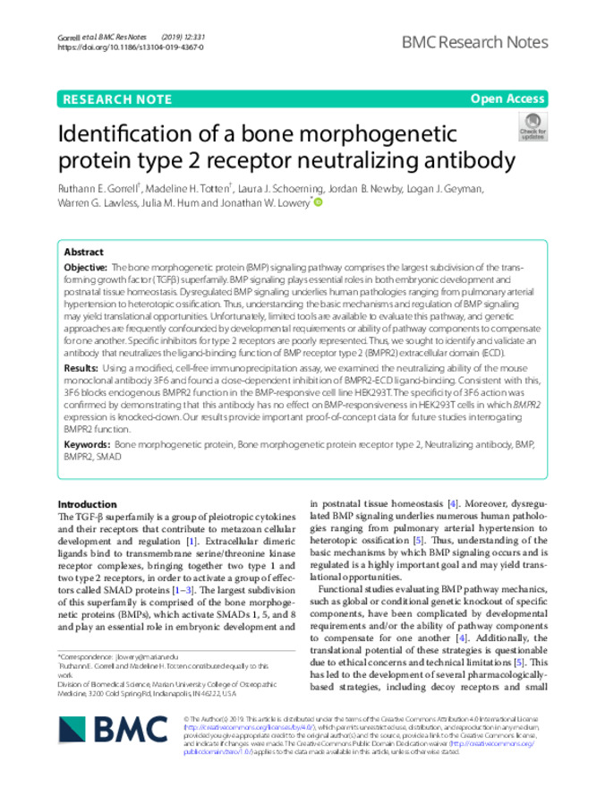 Identification of a bone morphogenetic protein type 2 receptor neutralizing antibody miniatura