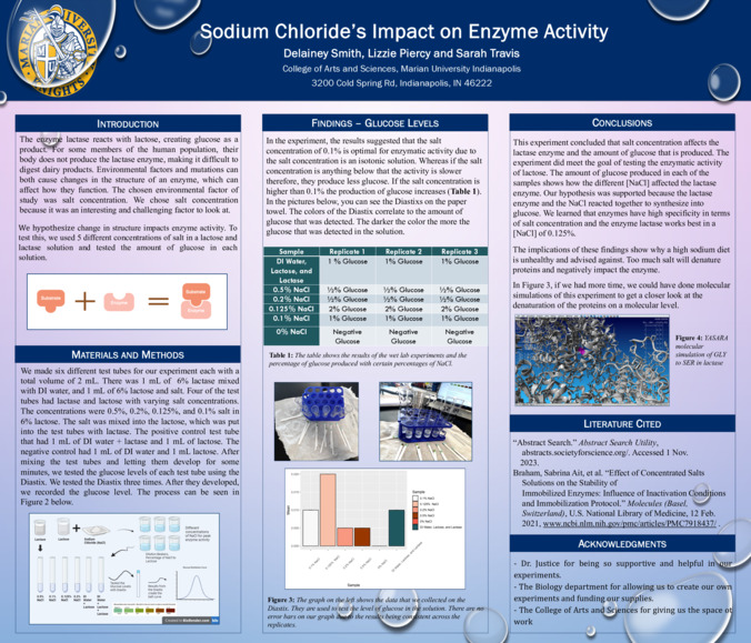 Sodium Chloride’s Impact on Enzyme Activity Miniaturansicht
